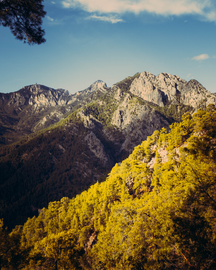 Виды с тропы