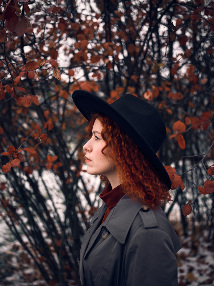 Fujifilm GFX 100.  Fujifilm GF 45mm F2.8