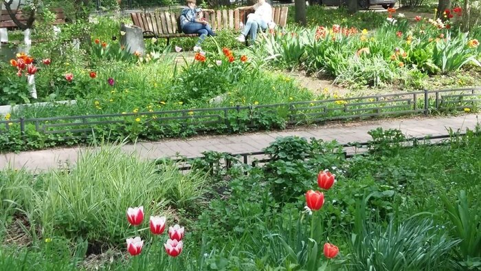 �� ���� �� ����� �� ���������� ����������� ����������. ��� ������������� � ������� ����������� ��������� ������������� ����� �������