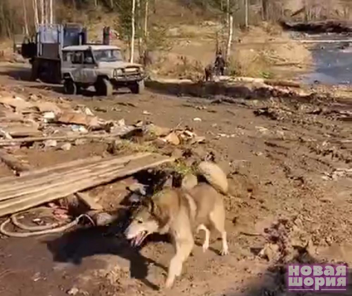 ����������� ����� "��������� ��������������� ���������� ������� �����"