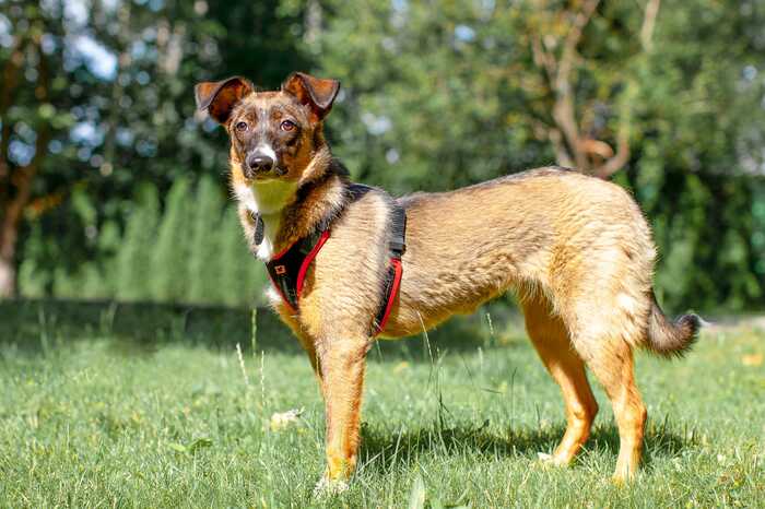 ��-���������� ����� ������