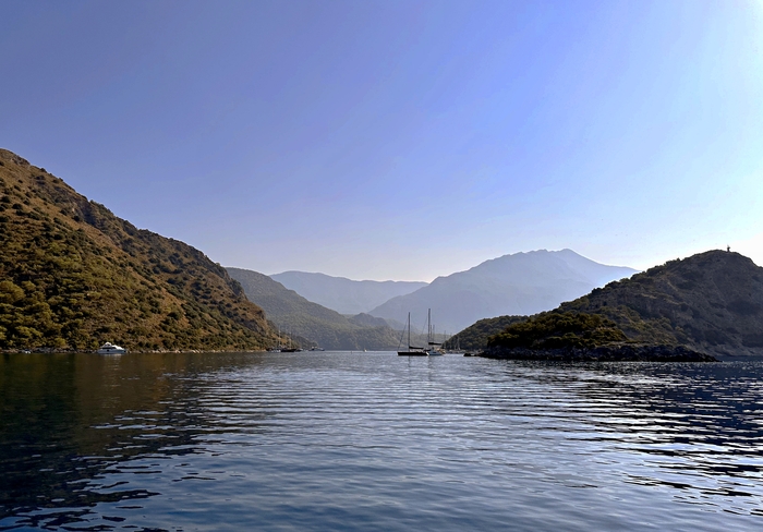 �-� ������� - ������