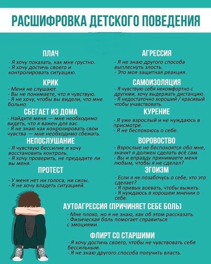 Переводчик... | Пикабу