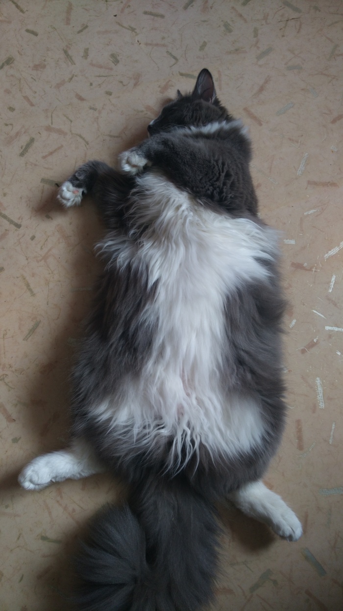 В паузе между тыгыдыками