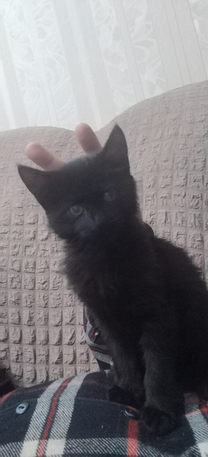 Найт in da night