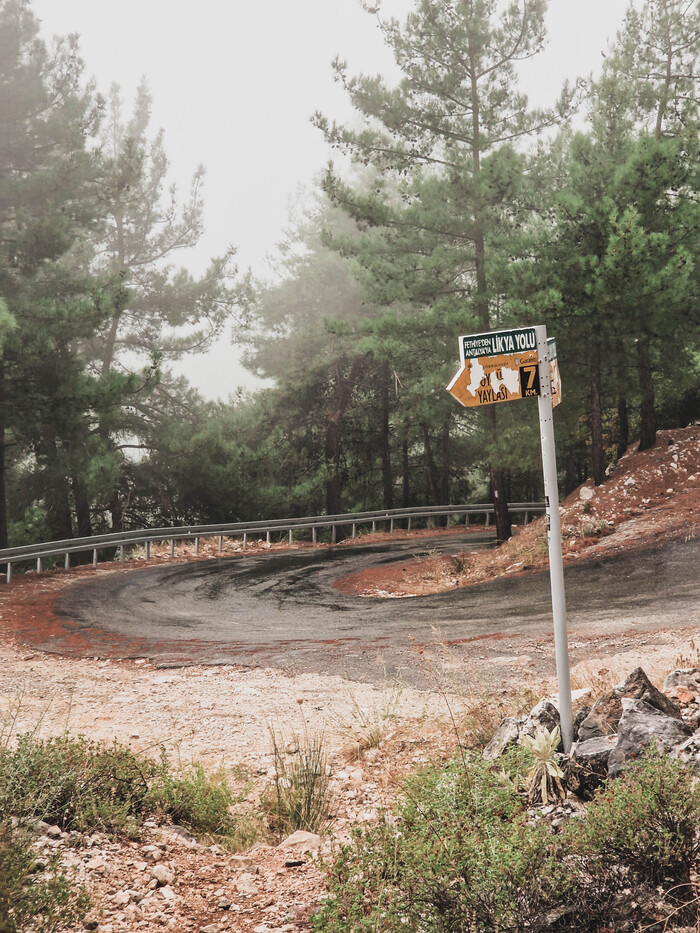Вышел с тропы на асфальтированную дорогу