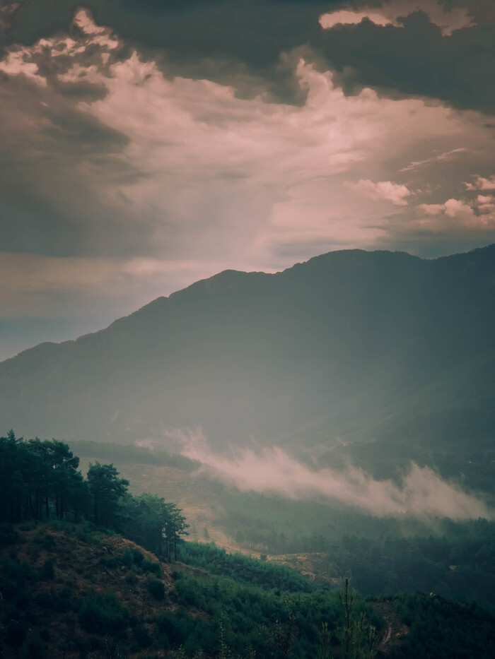 Виды с дороги