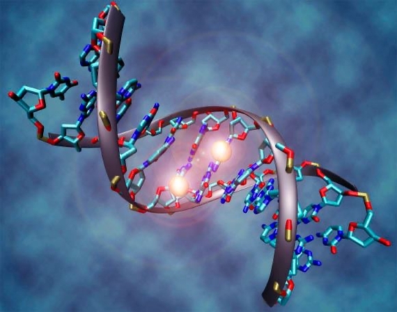 Рубрика: « Наука- не мУка»