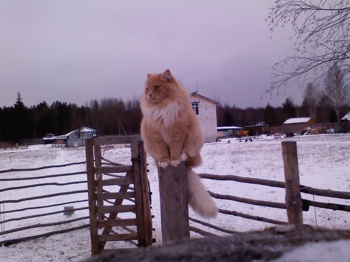 фото на тапок, уж извините