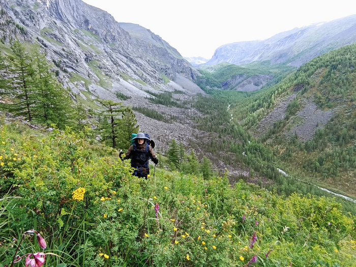 ��� � ����� ������, �������� �������� �� ������� ������� �� ������ �����