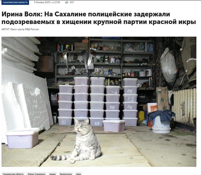 ���� �������������� �� �����-������ ���