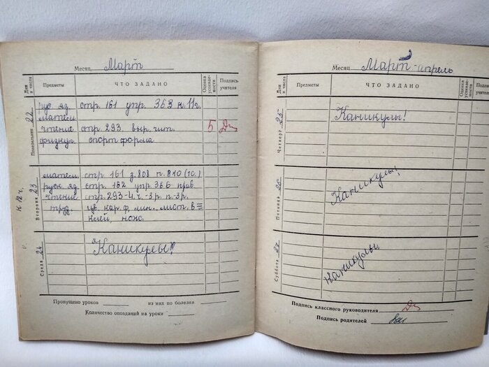 Дневник советского школьника