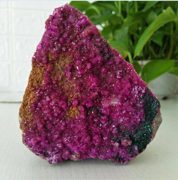 ���������������//<!--noindex--><a href="https://pikabu.ru/story/kobaltokaltsit_10798705?u=http%3A%2F%2Falichecker.info&t=alichecker.info&h=f3dc53131fedaf9c370176b4d8bff3bd7475b36a" title="http://alichecker.info" target="_blank" rel="nofollow noopener">alichecker.info</a><!--/noindex-->