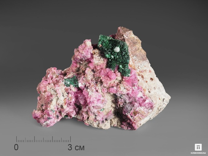 ��������������� � ������������� �������� �� �������//<!--noindex--><a href="https://pikabu.ru/story/kobaltokaltsit_10798705?u=http%3A%2F%2Fkamnevedy.ru&t=kamnevedy.ru&h=edc2bdc9a503e5e1da124e561743fa9d76868079" title="http://kamnevedy.ru" target="_blank" rel="nofollow noopener">kamnevedy.ru</a><!--/noindex-->