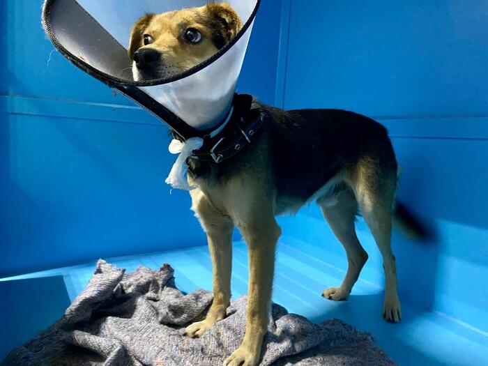 �����, ��� ��, ������ ���������. � �� ������ - �� ������ ������