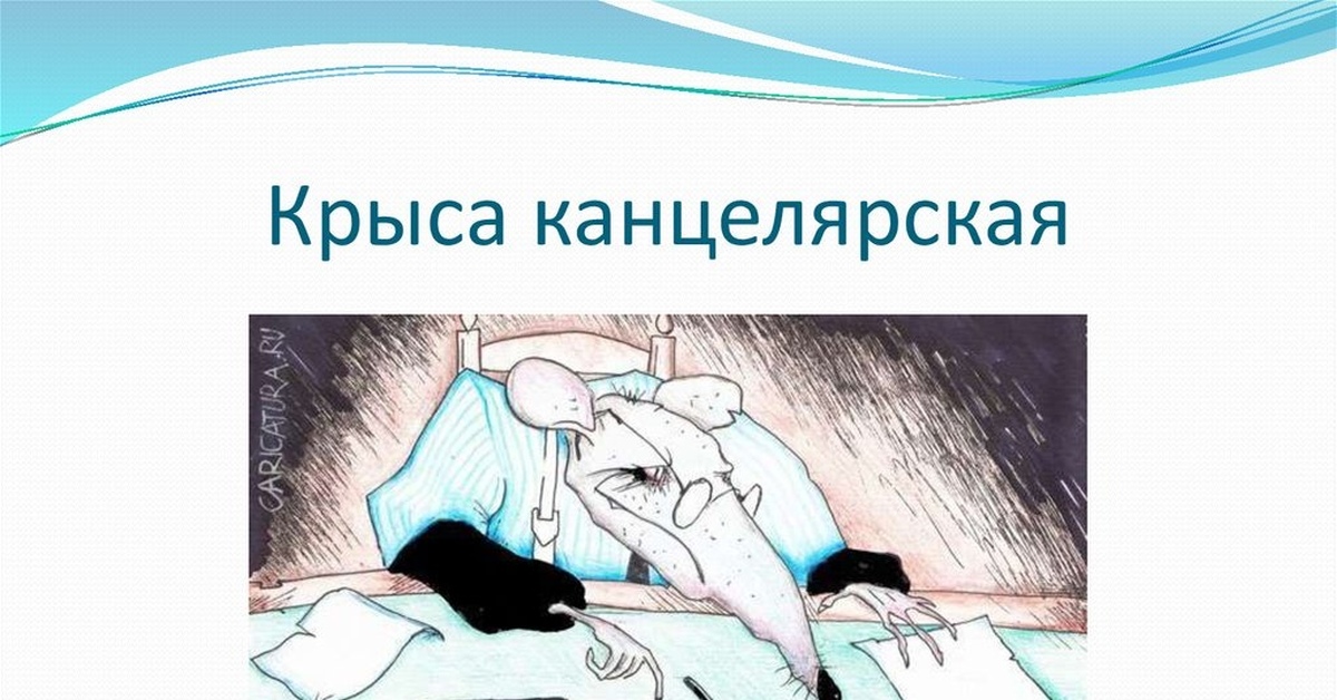 Мышь и крыса крылатые выражения. Канцелярская крыса. крыса конце канцелярская. канцелярская крыса фразеологизм. фразеологизмы про крыс.