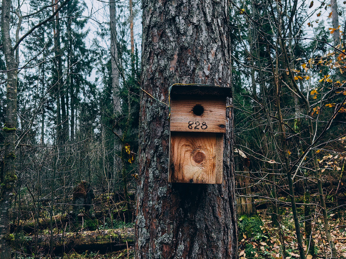 Скворечник тоже пронумерован