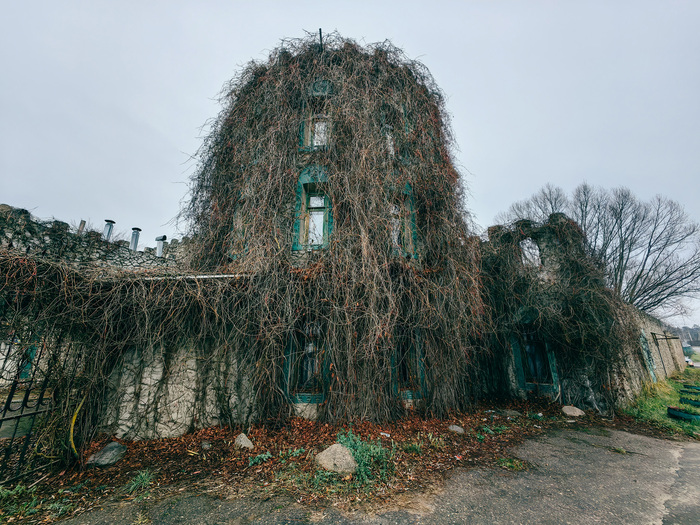 Заросший дом