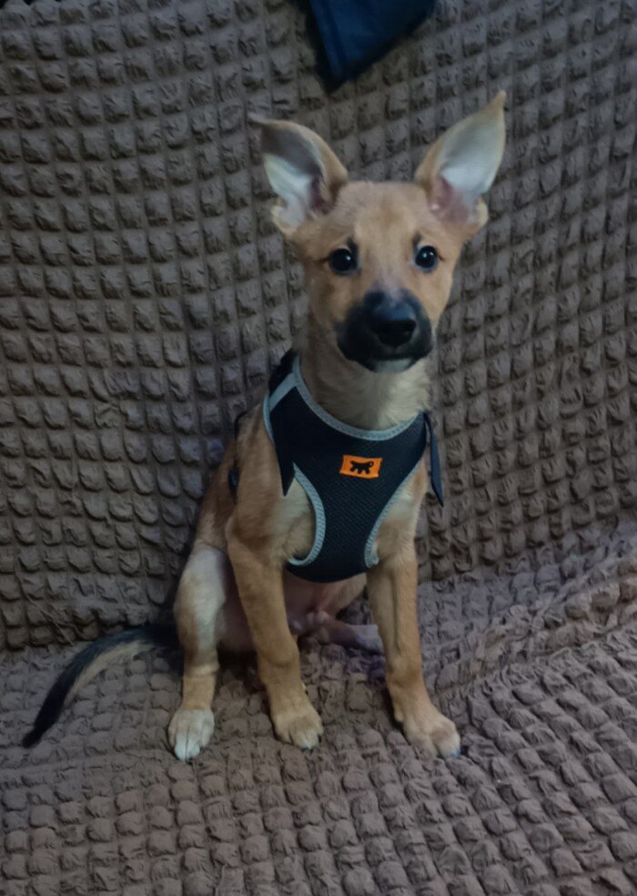 ������ ����� ����

��� �� ��� ��������, ��� ���������� ����� ����� �������� �������)))