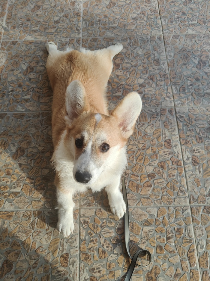 � ��� ��� ���� ����� ��������. ����, �� ��������, �� �����, ������� ��� ��� ������)