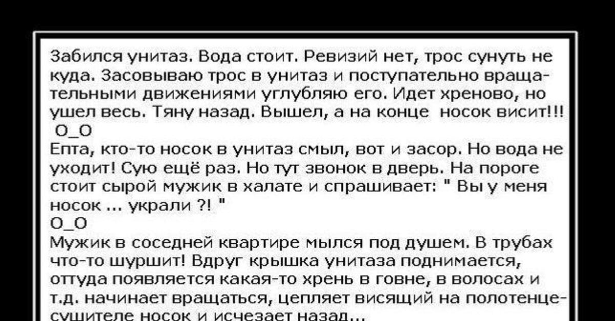 анекдот про чистку унитаза и носок | Дзен