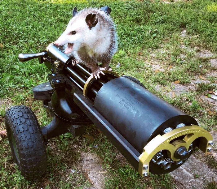 -- С этим бухгалтером мы ещё наплачемся.. © Отто Бисмарк