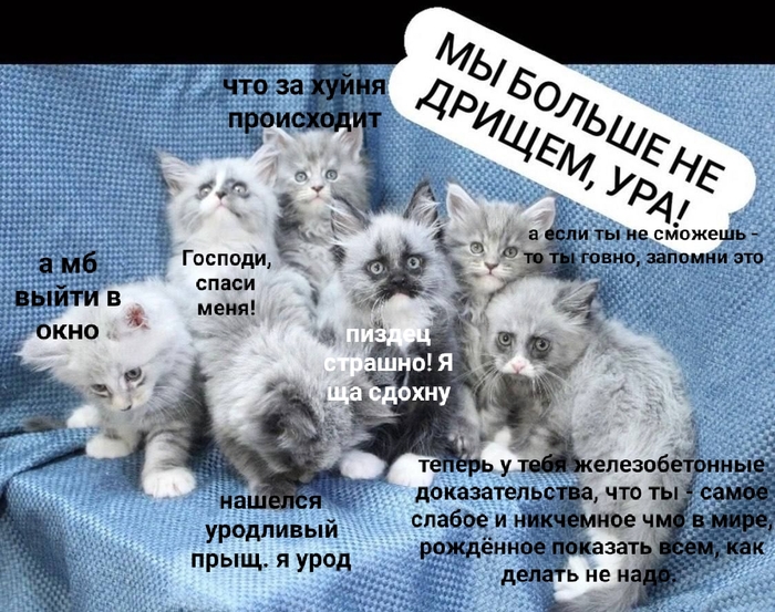      , , , , ,   , , ,  ,   