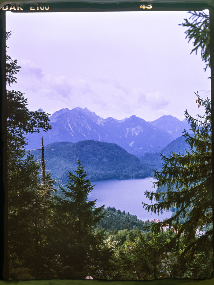 Mamiya 645AFD, 210/4, Ektachrome 100