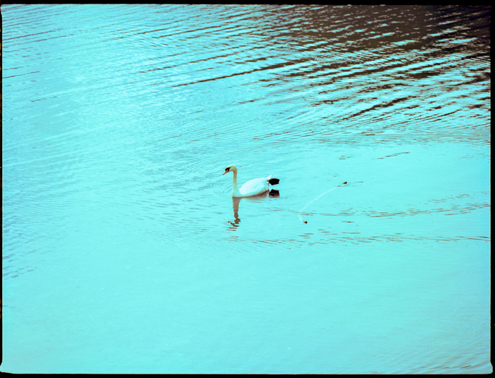 Mamiya 645AFD, 210/4, Portra 160