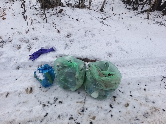 Очередная уборка леса