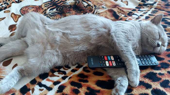 ����� ������� ����� � ������� � ��������...