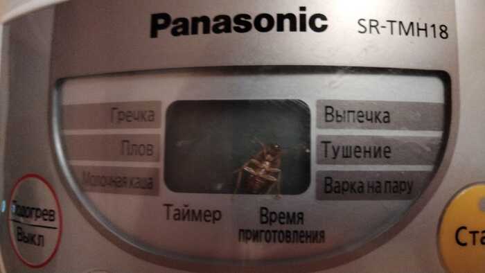 Bug , , 