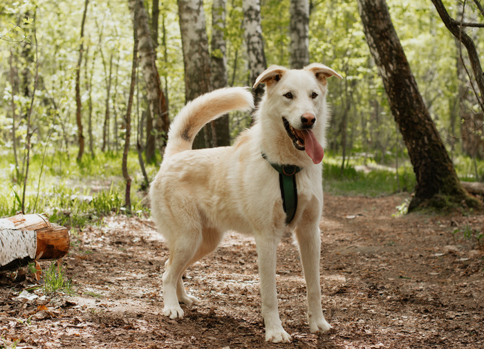 ��� ��, ��� ����������� �������� ����.