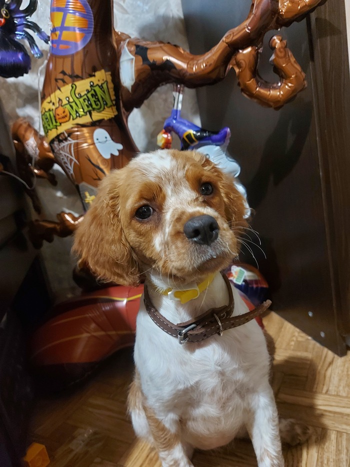 Обида в глазах потому, что заставили замереть на секунду для фото)