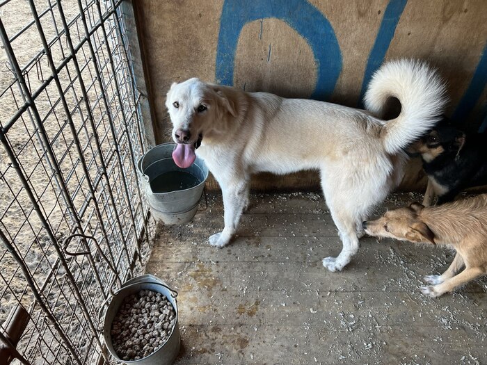 ������ ����� �� ������ �������.