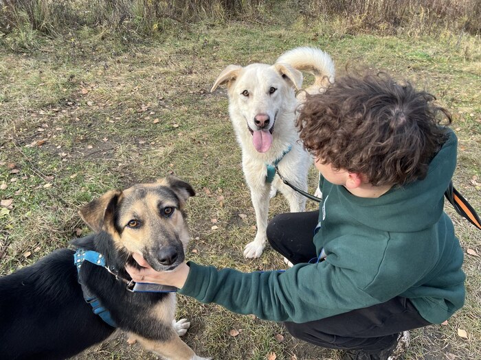 ���� �� �������� � ������� � ������� ��������.