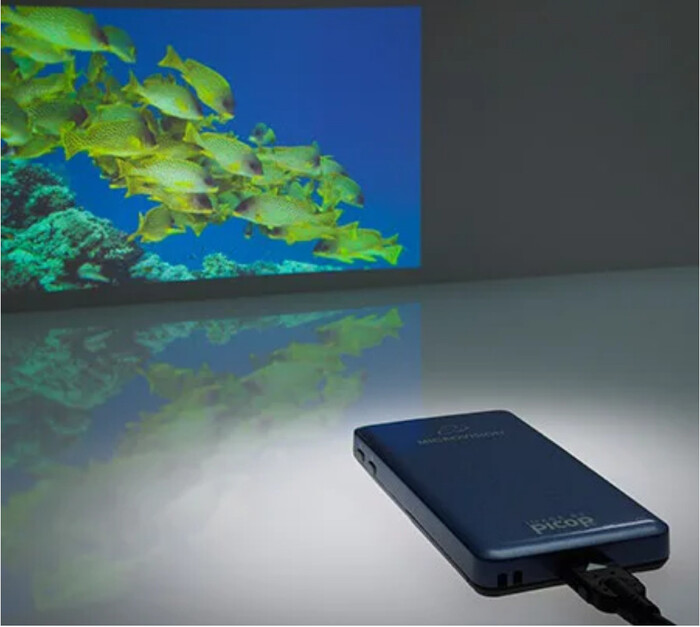 �������� �������� ����������, ������ ���� ���� ���� ��������.