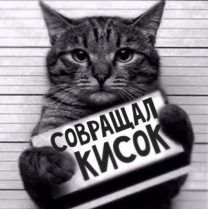 Опасный преступник | Пикабу