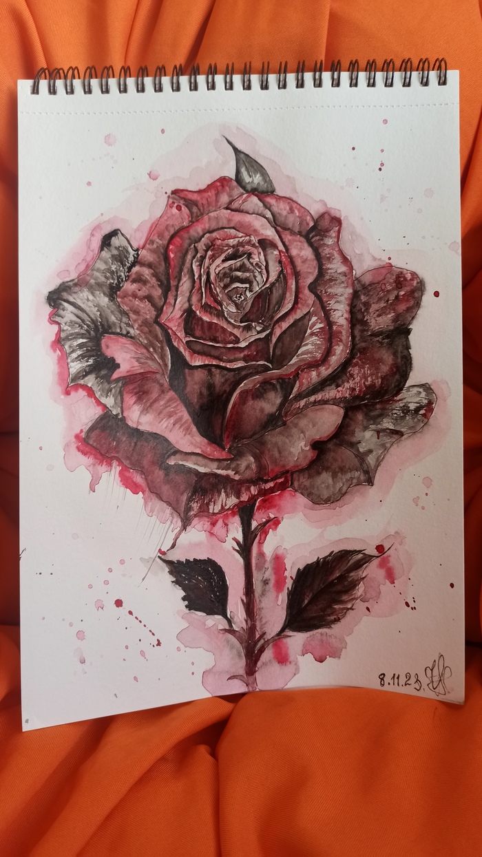 ��� ���� ����� ������ ����
������� �������� �� ����