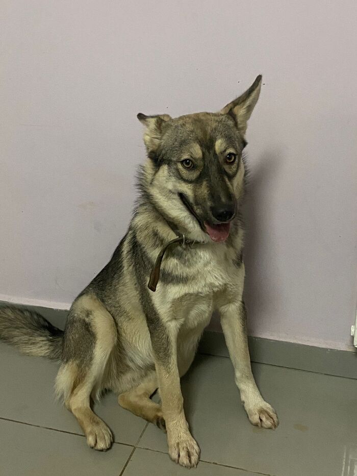 ����� ���������� ������ �� �����. ������� �� �������, ���� ����� � ������ ���� - ����� ��� ��� ��� ��������� � ������ � �����)