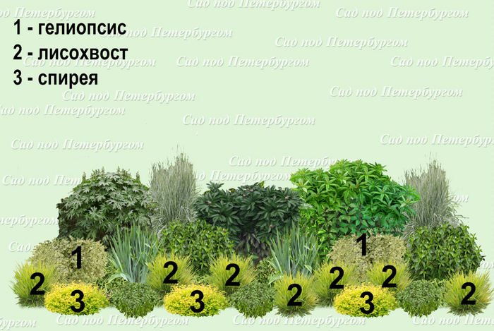 Продолжение истории: делаю проект солнечного цветника из неприхотливых ...