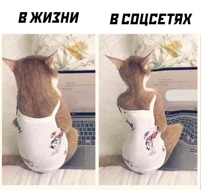   ,  