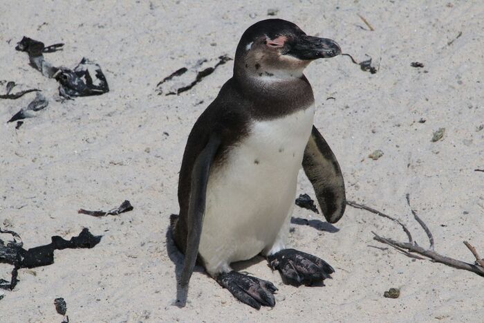 Вот это еще подросток