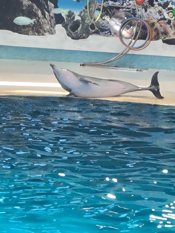 Рак мозга #15