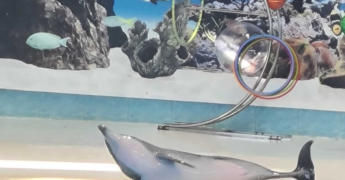 Рак мозга #15 | Пикабу