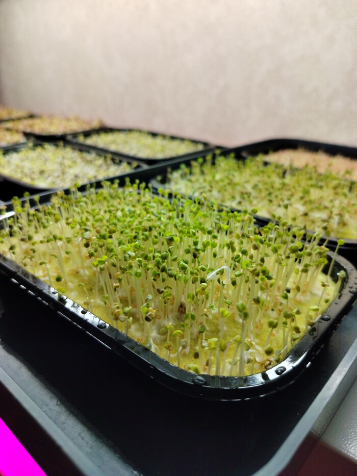 ��� �� ������ ��������, ��� ���������� ����� � ���������. ����� ����� � ��������� ������ - �� �������. ��� �������� ���. ��������� � ��� ����� ������ � ��������� �� ��������.