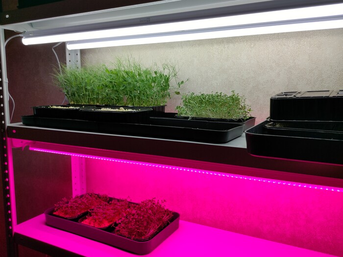 ��� �� ������ ��������, ����� �� ������ ������������ �� ��� �������