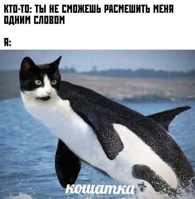 Смех | Пикабу