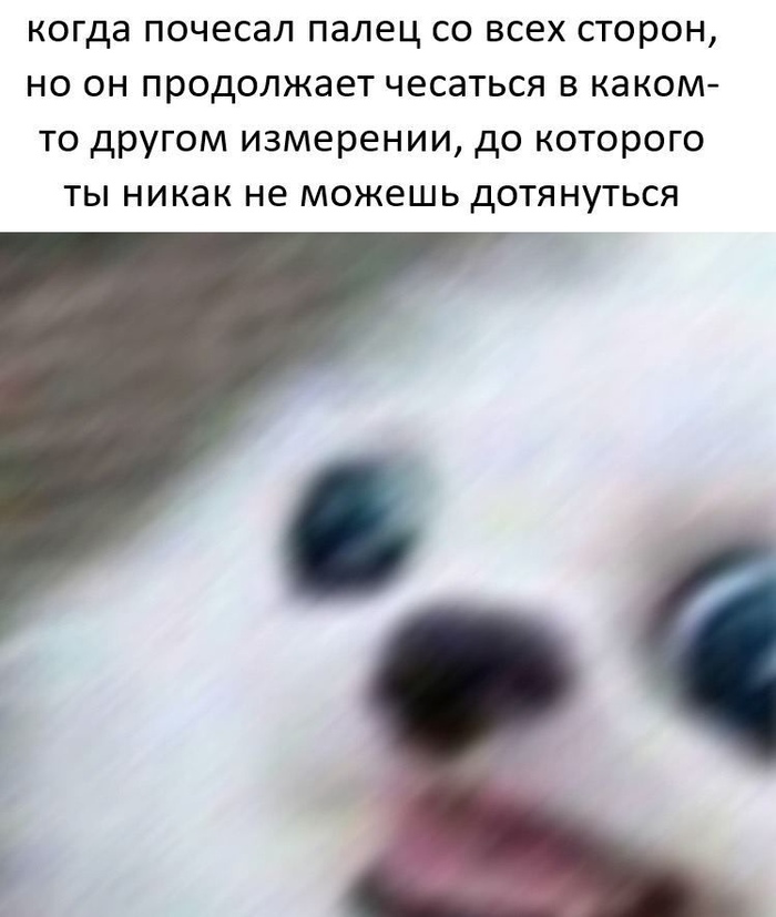 _____________________________________________________________________________________