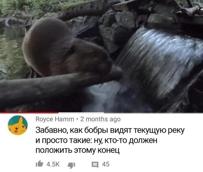 _____________________________________________________________________________________